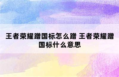 王者荣耀蹭国标怎么蹭 王者荣耀蹭国标什么意思